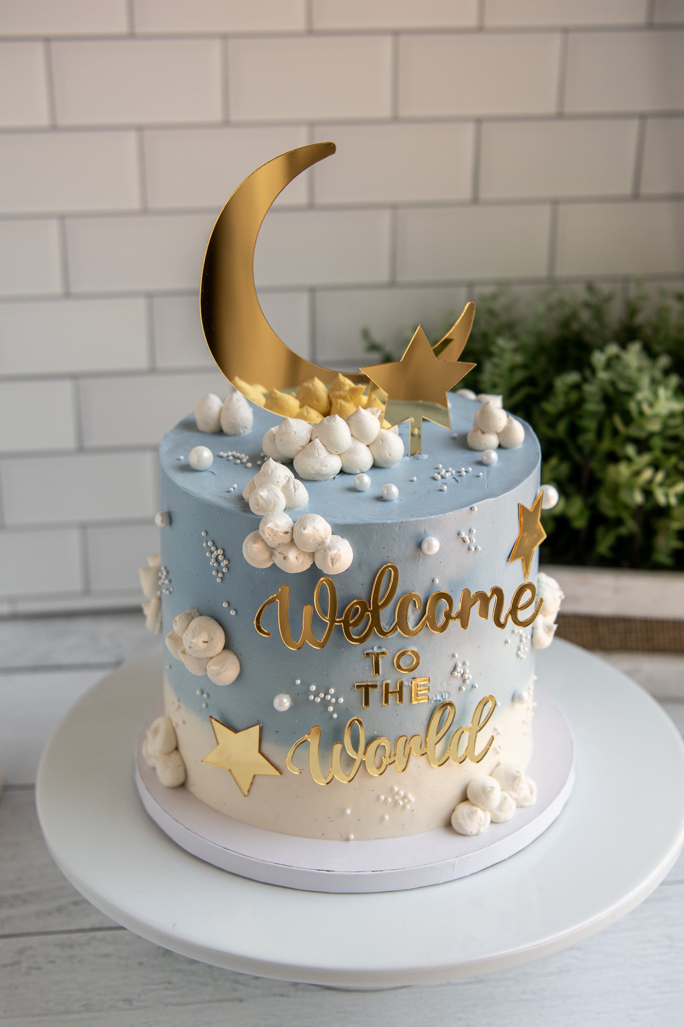 Welcome to the World Baby Cake